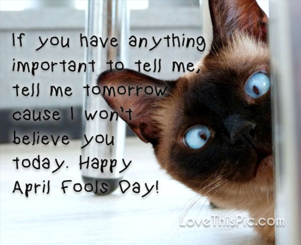 10 Funny Happy April Fools' Day Quotes - picture 2