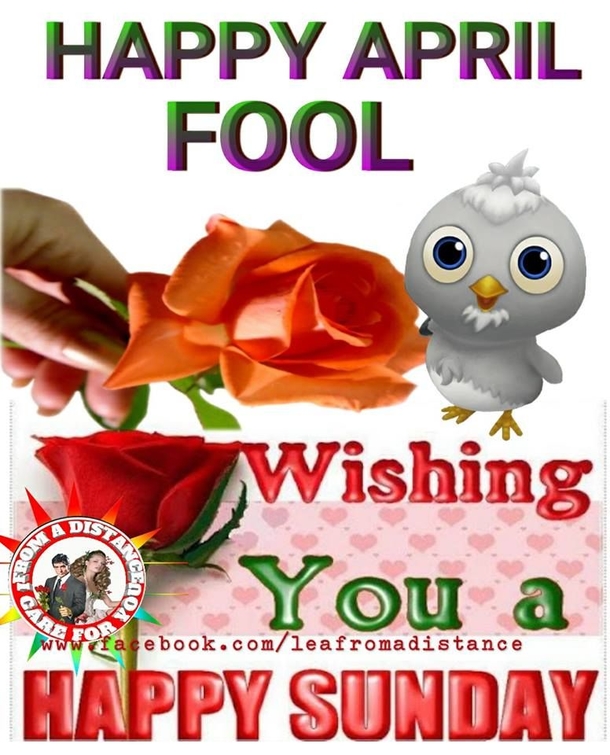 10 Funny Happy April Fools' Day Quotes - picture 4