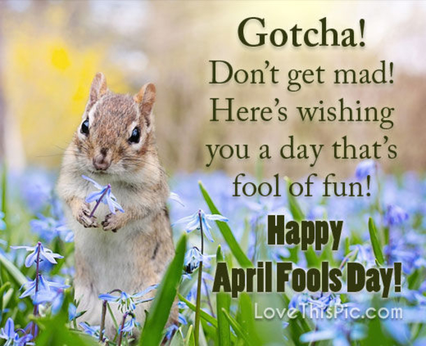 10 Funny Happy April Fools' Day Quotes - picture 7