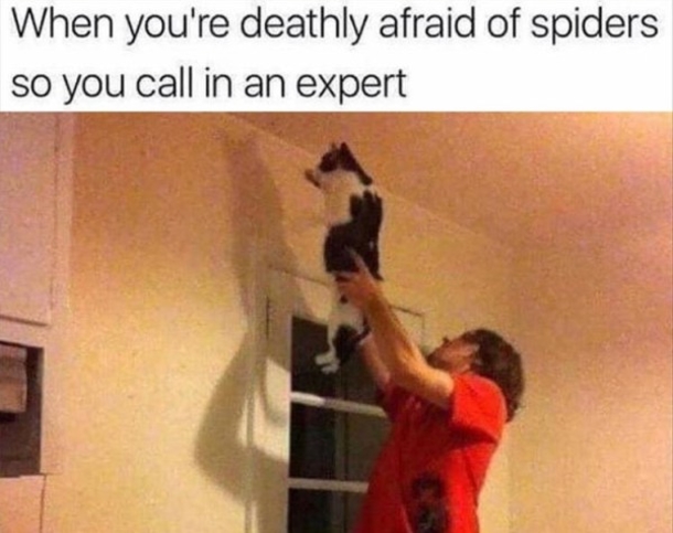 10 Funny Images That Are Sure To Help Your Day Go Smooth - picture 4