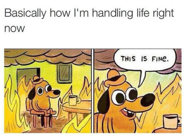 10 Funny Life Memes That Will Make Your Day - picture 9