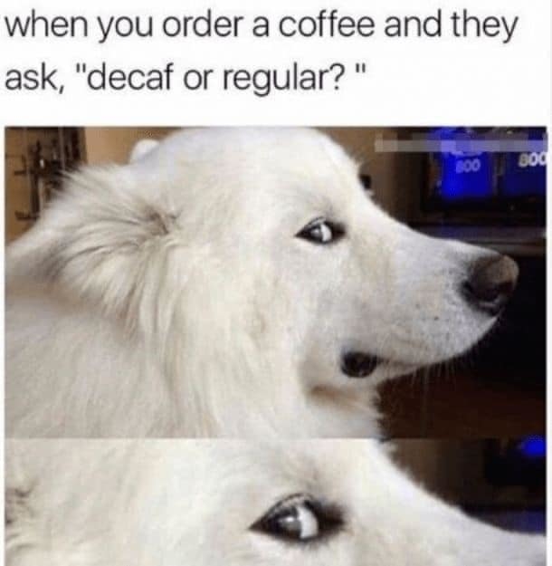 10 Funny Memes About Coffee That Will Give You Joy - picture 10