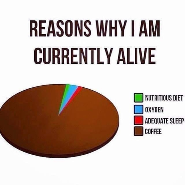 10 Funny Memes About Coffee That Will Give You Joy - picture 8