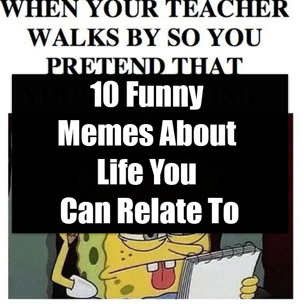 10 Funny Memes About Life You Can Relate To