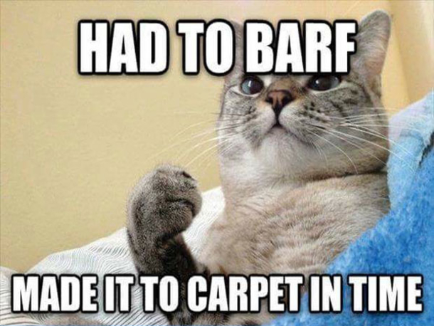 10 Funny Memes Of The Day - picture 2