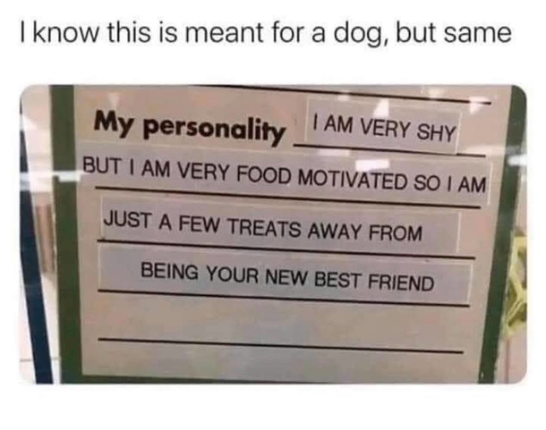 10 Funny Memes Of The New Week That Will Have You In Tears - picture 11