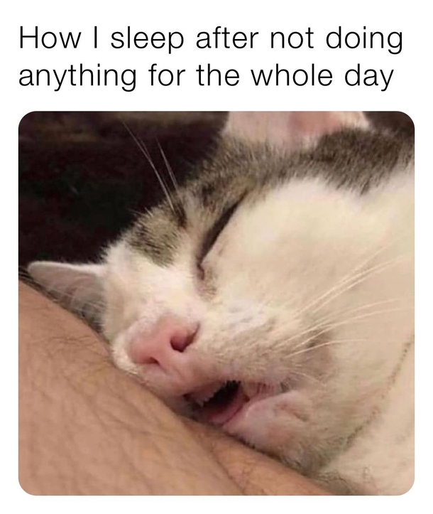 10 Funny Memes Of The New Week That Will Have You In Tears - picture 8