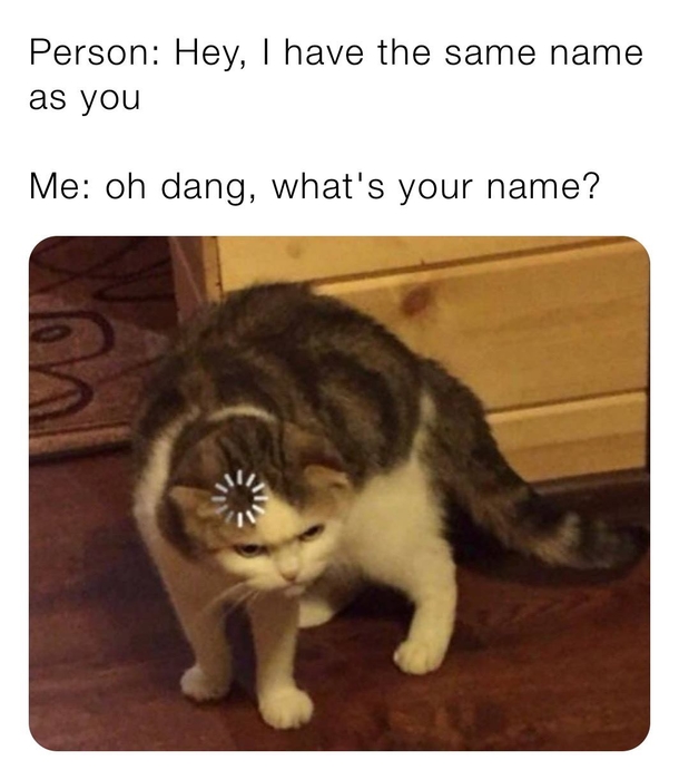 10 Funny Memes Of The New Week That Will Have You In Tears - picture 9