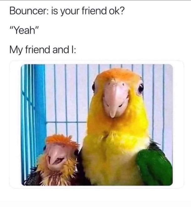 10 Funny Memes That Any Woman Can Relate To - picture 6