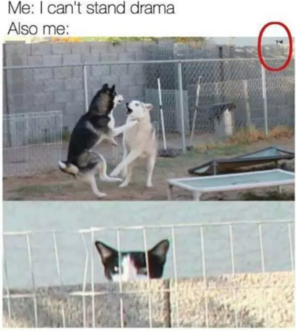 10 Funny Memes That Are Too Relatable To Ignore - picture 11