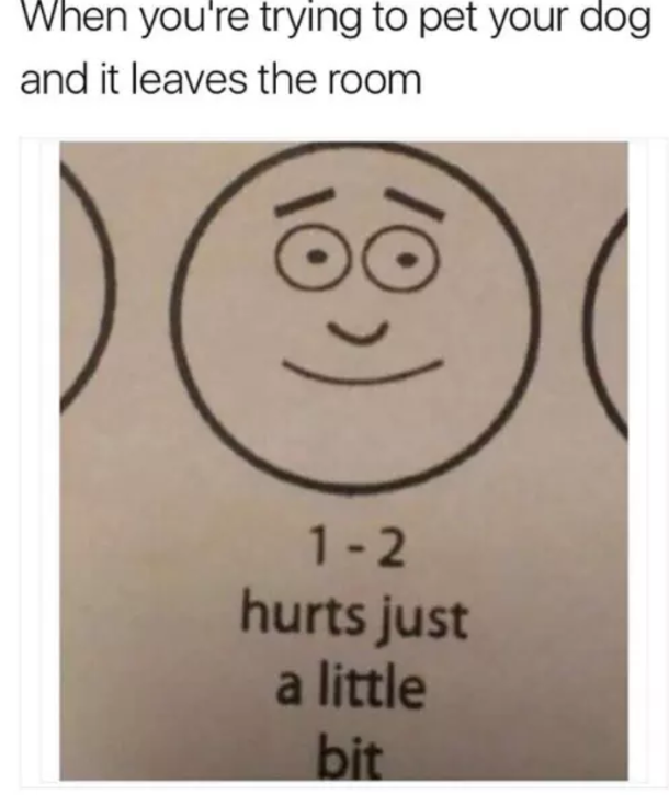 10 Funny Memes That Are Too Relatable To Ignore - picture 4