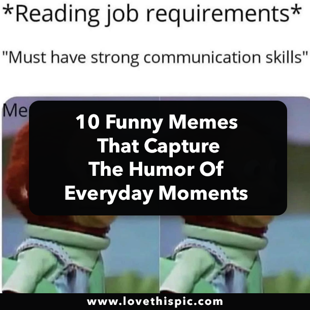 10 Funny Memes That Capture The Humor Of Everyday Moments