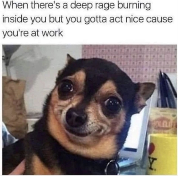 10 Funny Memes That Capture The Humor Of Everyday Moments - picture 11