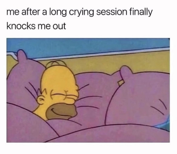 10 Funny Memes That Capture The Humor Of Everyday Moments - picture 7