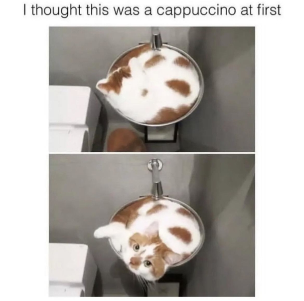 10 Funny Memes That Capture The Humor Of Everyday Moments - picture 8