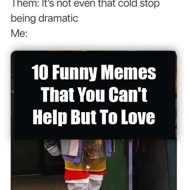10 Funny Memes That You Can't Help But To Love