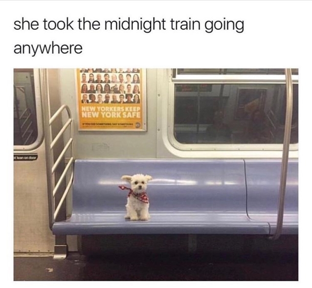 10+ Funny Memes To Help You Enjoy The Weekend Even More - picture 3
