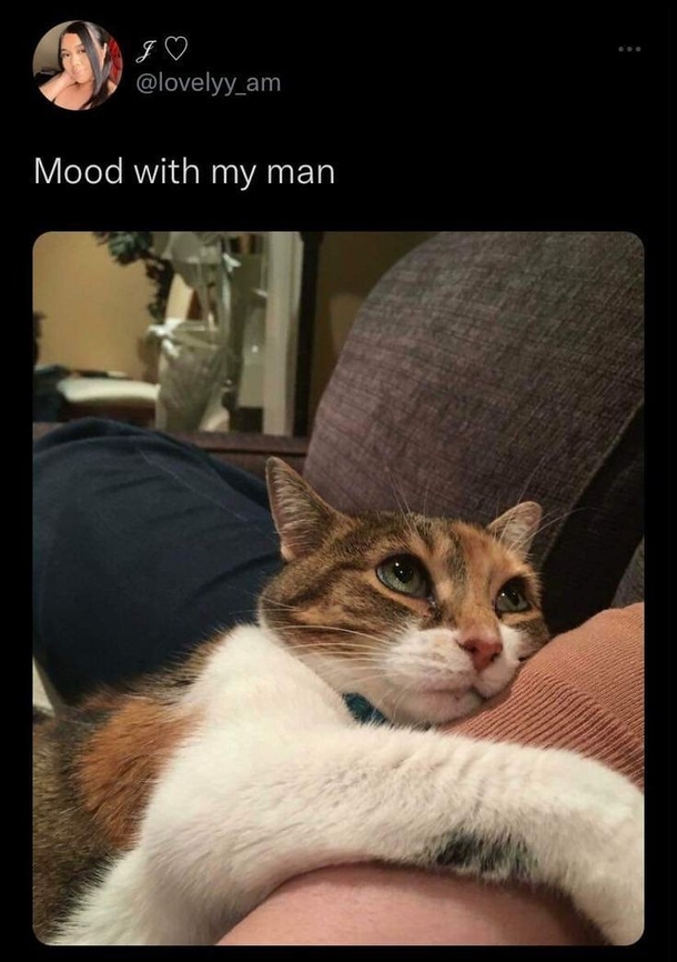 10 Funny Memes & Jokes Only A Girlfriend Would Love - picture 9