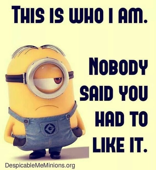 10 Funny Minion Images And Quotes That Will Make You Grab Your Stomach - picture 11