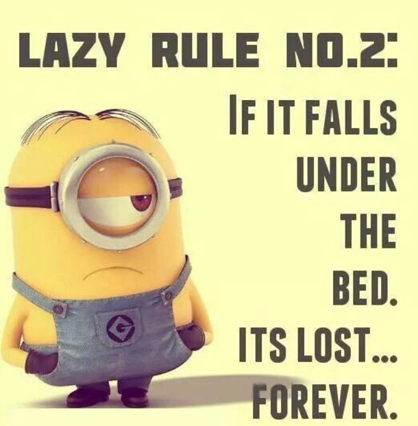 10 Funny Minion Images And Quotes That Will Make You Grab Your Stomach - picture 6