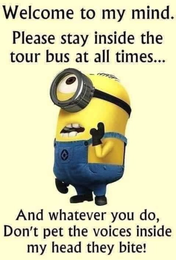 10 Funny Minion Quotes And Sayings For The Week - picture 6