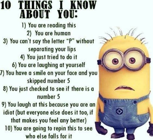 10 Funny Minion Quotes And Sayings For The Week - picture 8
