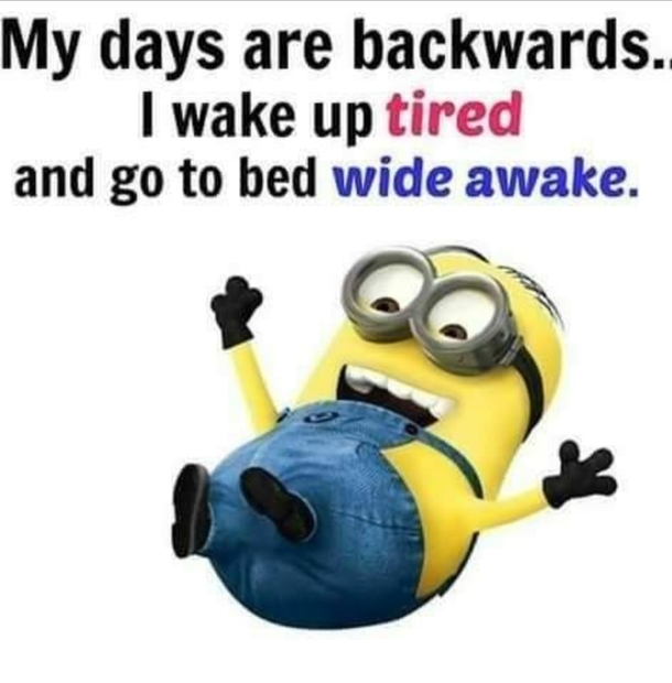 10 Funny Minion Quotes That Are Too Silly To Take Seriously - picture 11