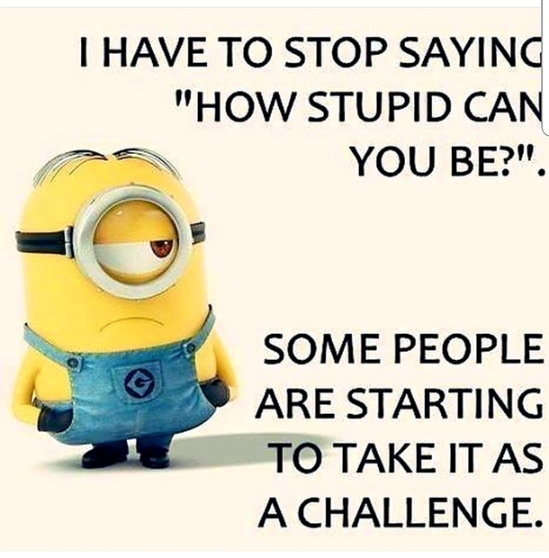 10 Funny Minion Quotes That Are Too Silly To Take Seriously - picture 2