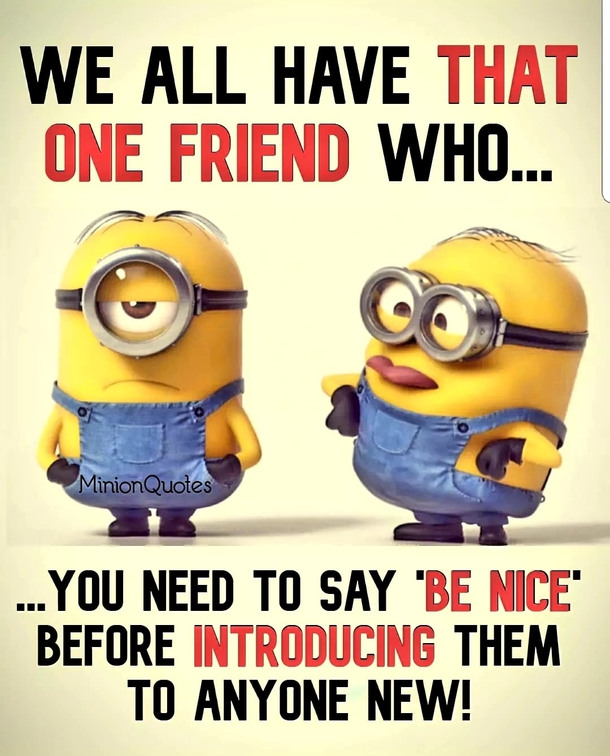10 Funny Minion Quotes That Are Too Silly To Take Seriously - picture 5
