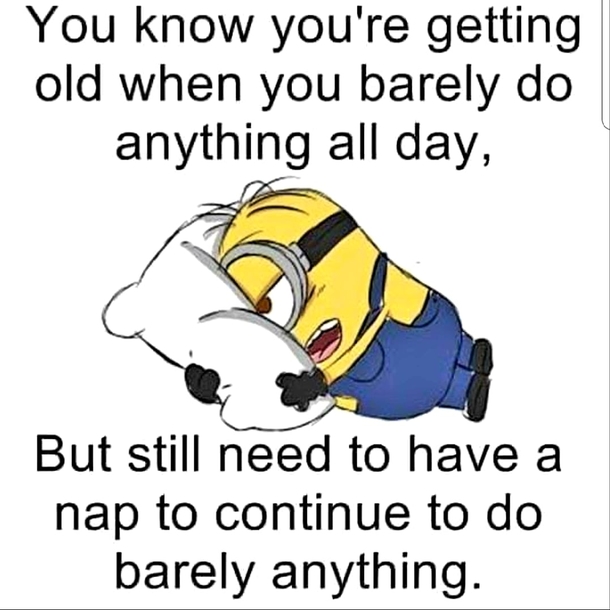 10 Funny Minion Quotes That Are Too Silly To Take Seriously - picture 8