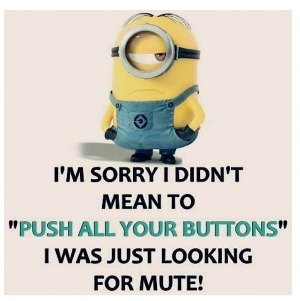 10 Funny Minion Quotes That'll Make You Tap Into Your Inner Crazy - picture 10