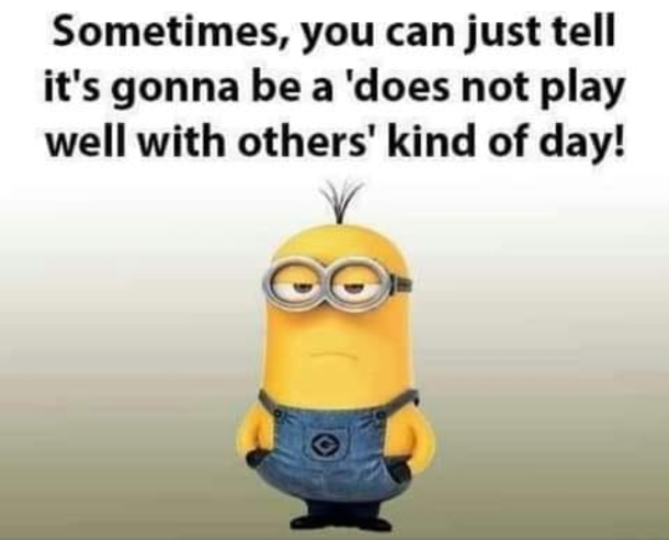 10 Funny Minion Quotes That'll Make You Tap Into Your Inner Crazy - picture 11