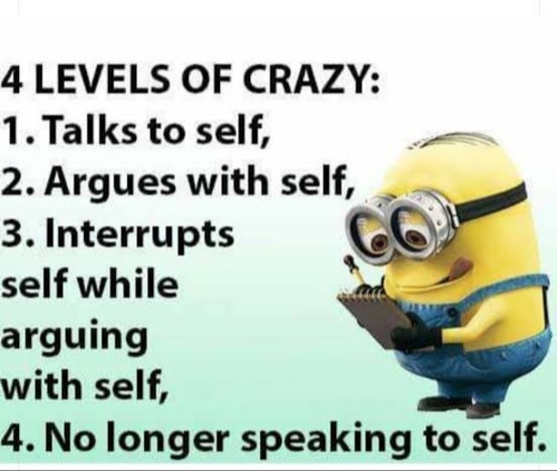 10 Funny Minion Quotes That'll Make You Tap Into Your Inner Crazy - picture 2