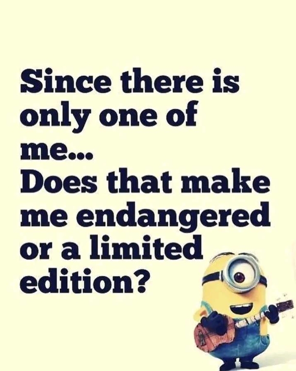 10 Funny Minion Quotes That'll Make You Tap Into Your Inner Crazy - picture 5