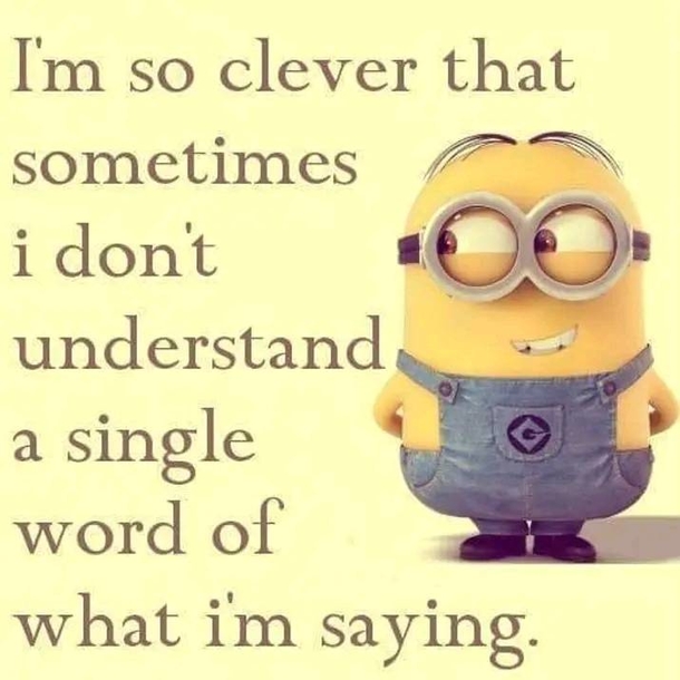 10 Funny Minion Quotes That'll Make You Tap Into Your Inner Crazy - picture 6