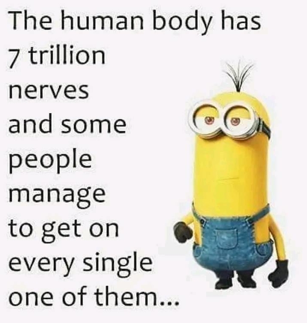 10 Funny Minion Quotes That'll Make You Tap Into Your Inner Crazy - picture 7