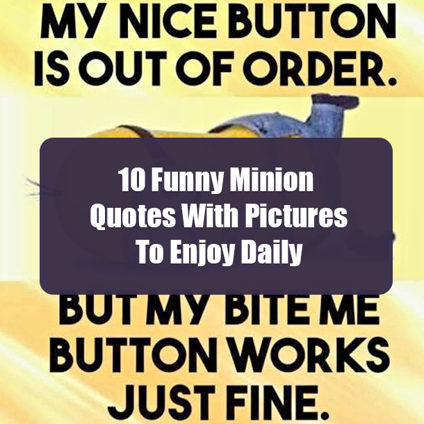 10 Funny Minion Quotes With Pictures To Enjoy Daily