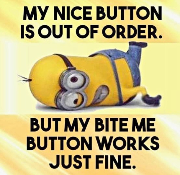 10 Funny Minion Quotes With Pictures To Enjoy Daily - picture 12