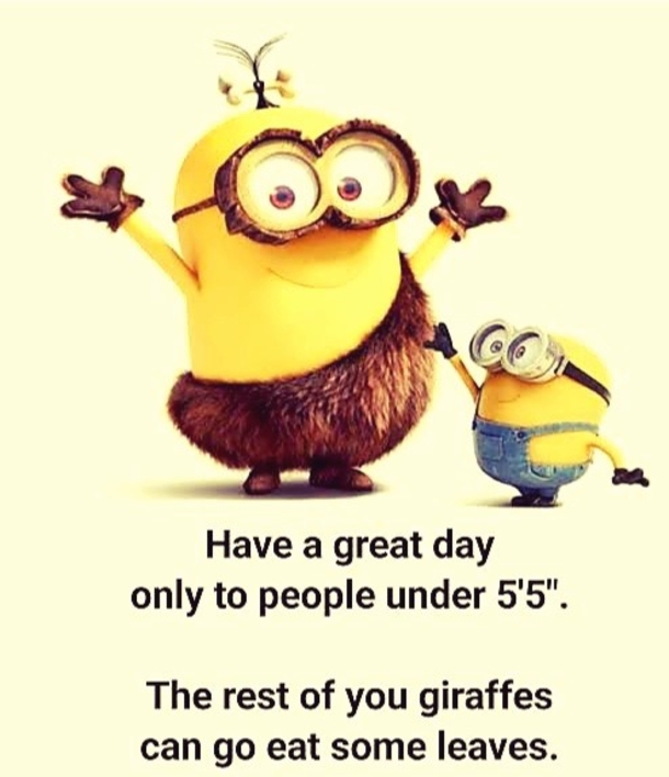 10 Funny Minion Quotes With Pictures To Enjoy Daily - picture 4