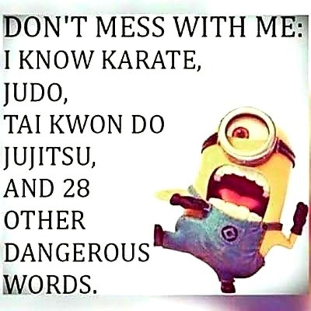 10 Funny Minion Quotes With Pictures To Enjoy Daily - picture 7