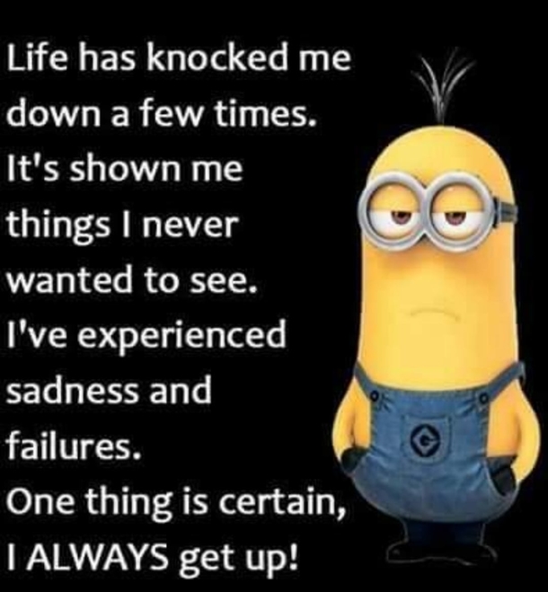 10 Funny Minion Quotes & Messages About Life - picture 11