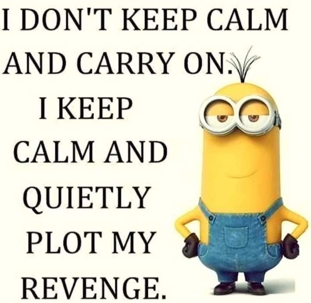10 Funny Minion Quotes & Messages About Life - picture 5