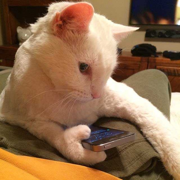 10 Funny Moments In iPhone History - picture 2
