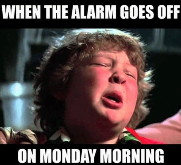 10 Funny Monday Memes For The New Week - picture 8