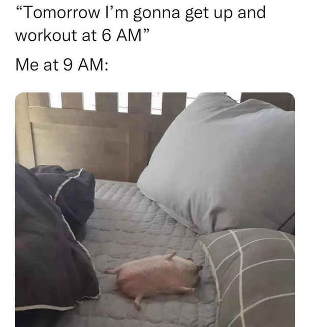 10 Funny Monday Memes To Start The Week With A Good Laugh - picture 10