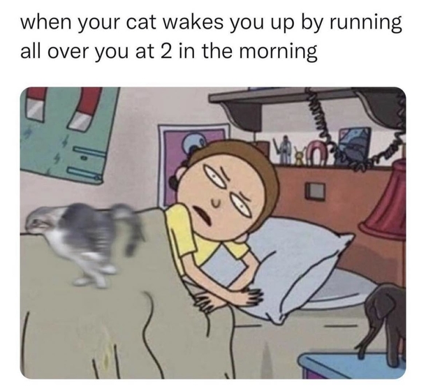 10 Funny Monday Memes To Start The Week With A Good Laugh - picture 13