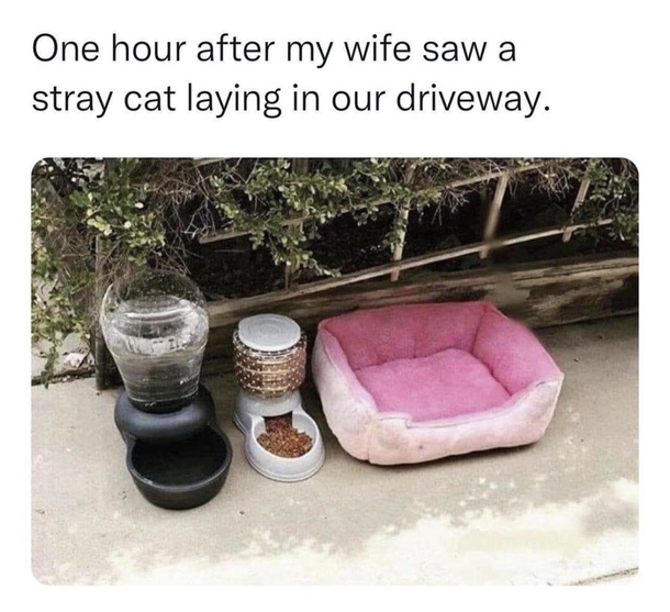 10 Funny Monday Memes To Start The Week With A Good Laugh - picture 14
