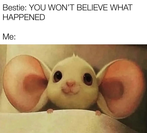 10 Funny Monday Memes To Start The Week With A Good Laugh - picture 4