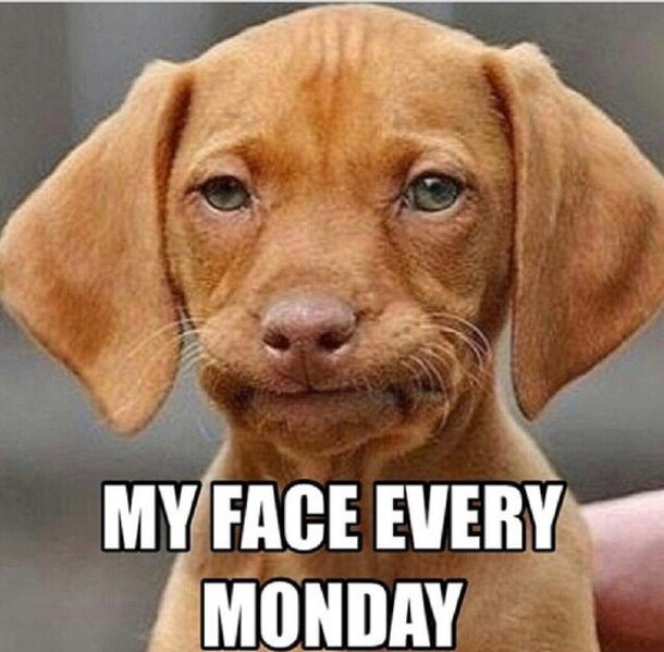 10 Funny Monday Morning Faces - picture 10