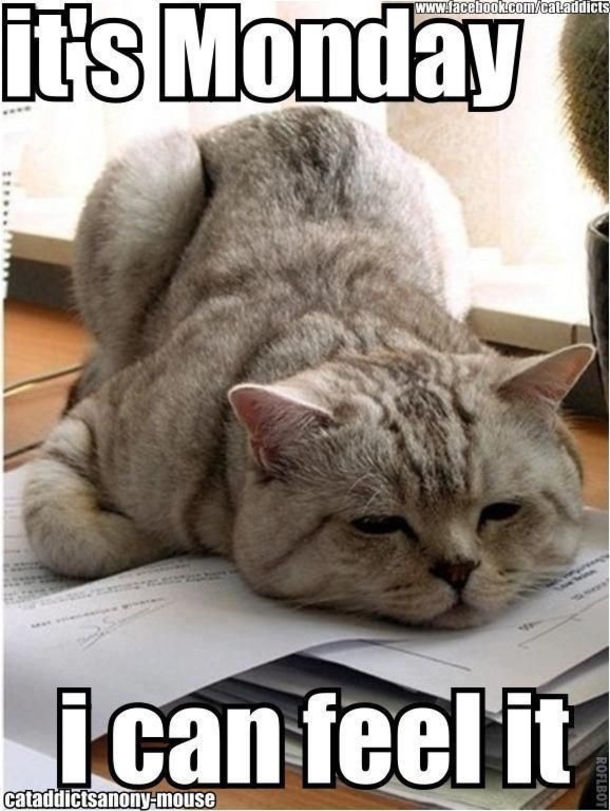10 Funny Monday Morning Faces - picture 11
